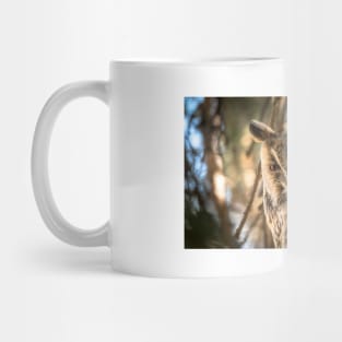 Long-Eared Owl Mug